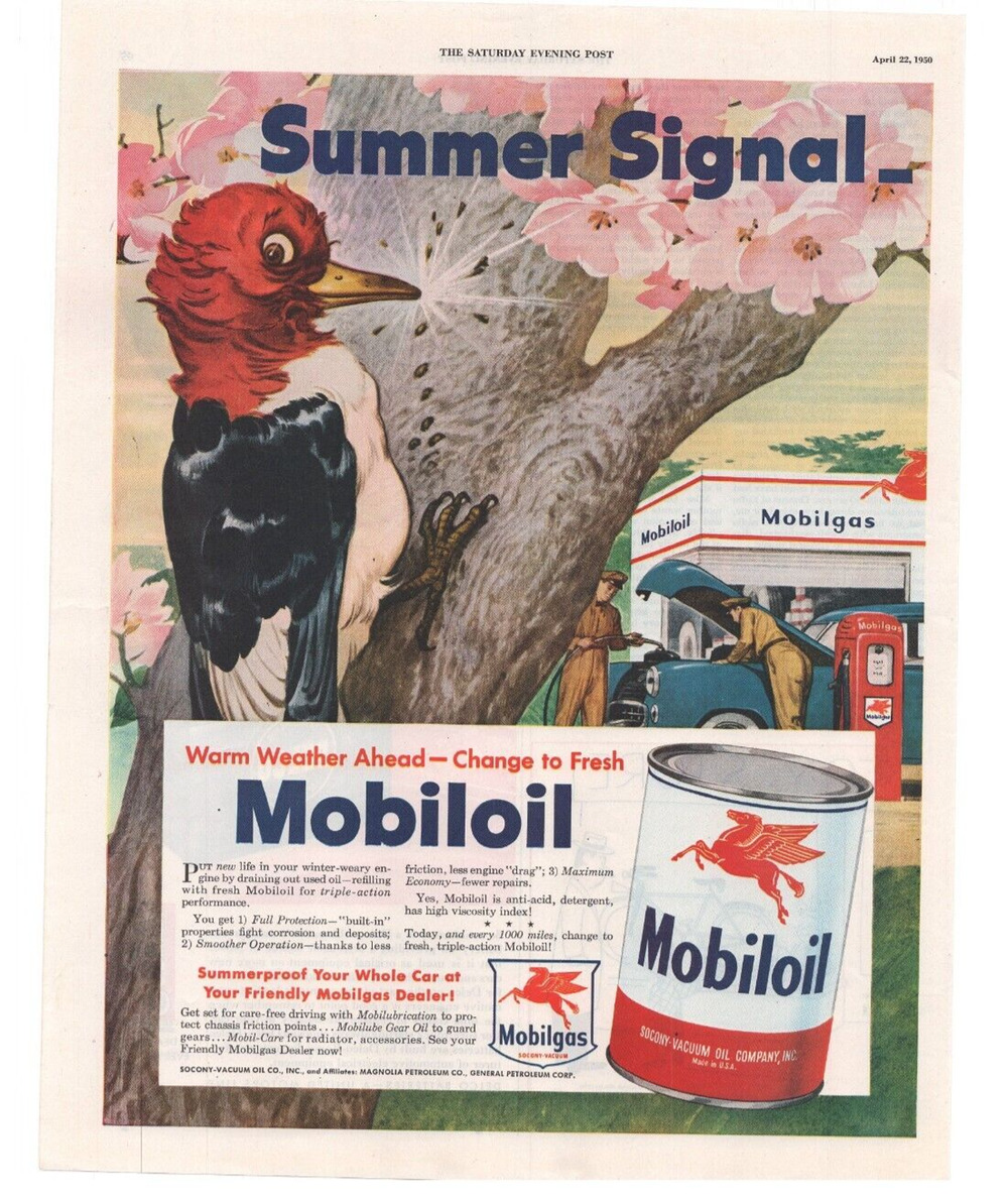 Vintage Original Mobil Oil Magazine Advertisement 1950 Petroliana Woodpecker